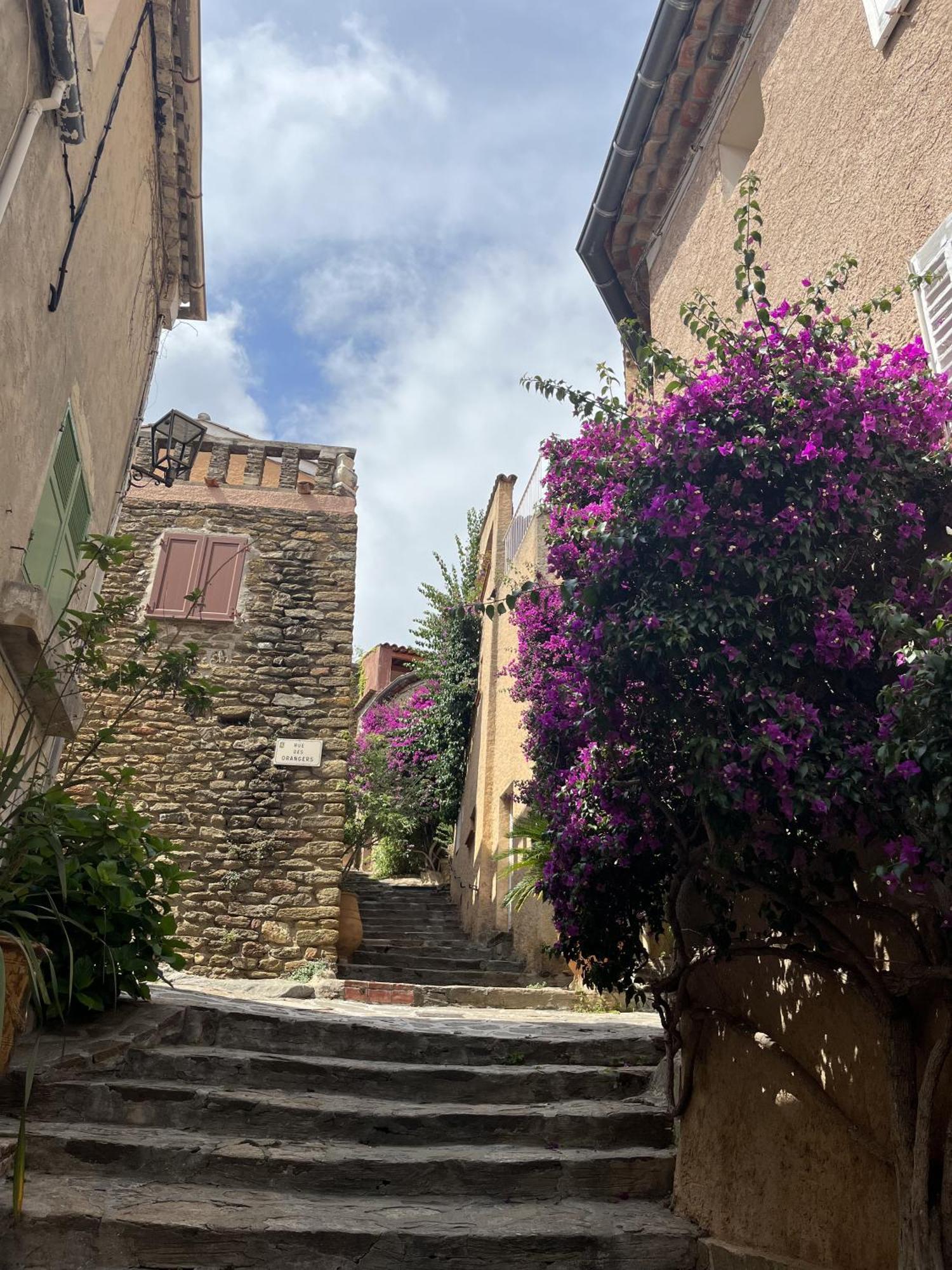 Villa La Recampado Bormes-les-Mimosas Exterior foto